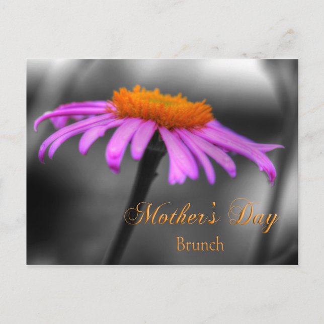 Postal Día de la Madre Brunch Morado y Naranja Coneflower (Anverso)