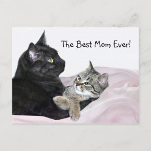 Postal Día de la Madre felina