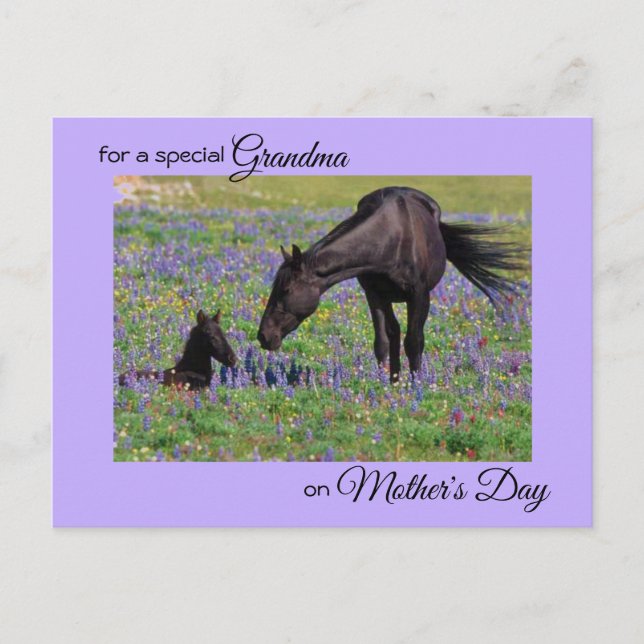 Postal Día de la Madre para la Abuela Mare y Foal Photo (Anverso)