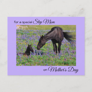 Postal Día de la Madre por el Paso Mamá Mare y Foal Photo