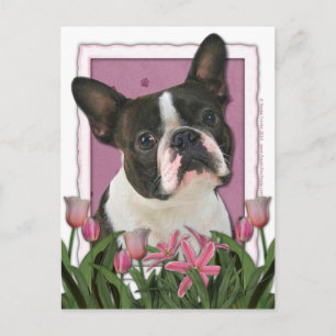 Postal Día de la Madre - Tulipanes rosados - Boston Terri