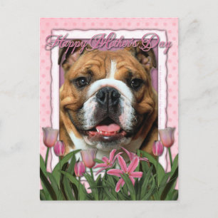 Postal Día de la Madre - Tulipanes rosados - Bulldog