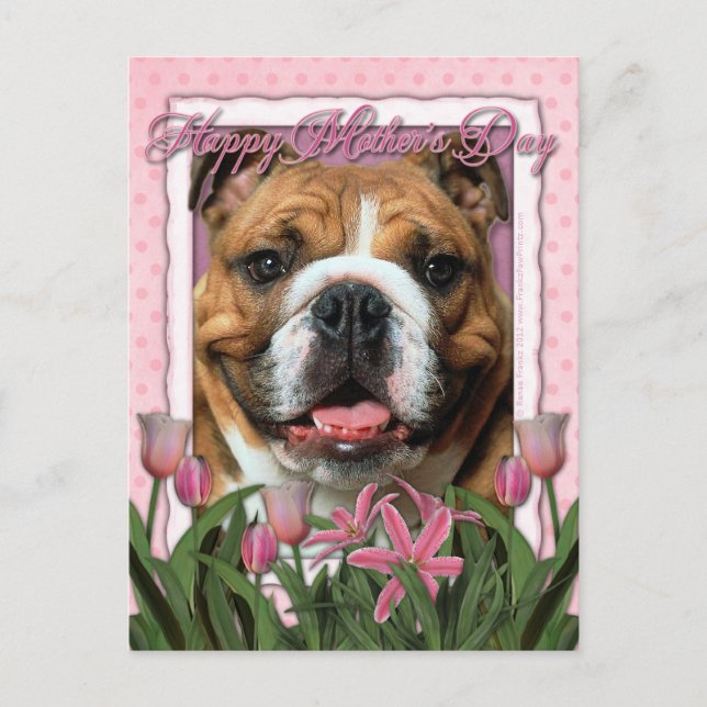 Postal Día de la Madre - Tulipanes rosados - Bulldog (Anverso)