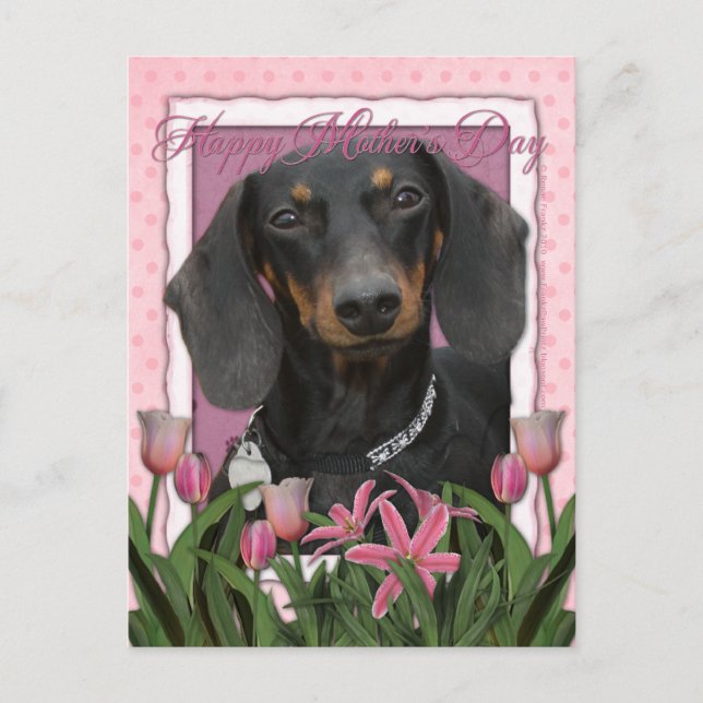 Postal Día de la Madre - Tulipanes rosados - Dachshund -  (Anverso)