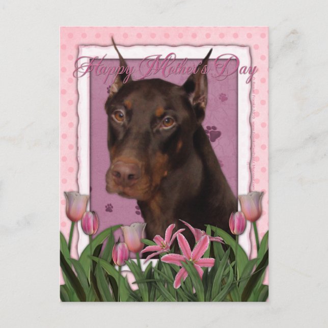 Postal Día de la Madre - Tulipanes rosados - Doberman - R (Anverso)