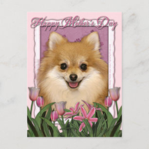 Postal Día de la Madre - Tulipanes rosados - Pomerania