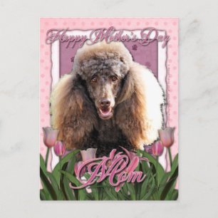 Postal Día de la Madre - Tulipanes rosados - Poodle - Cho