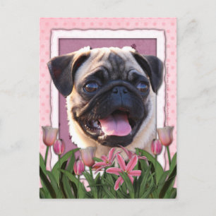 Postal Día de la Madre - Tulipanes rosados - Pug