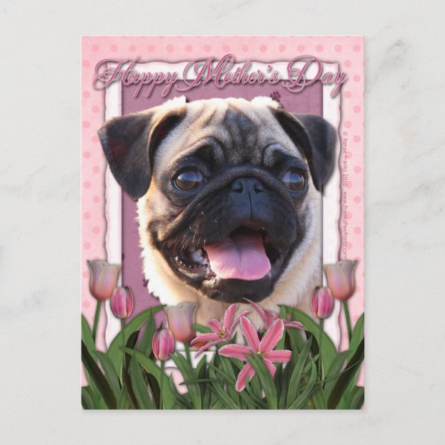 Postal Día de la Madre - Tulipanes rosados - Pug (Anverso)