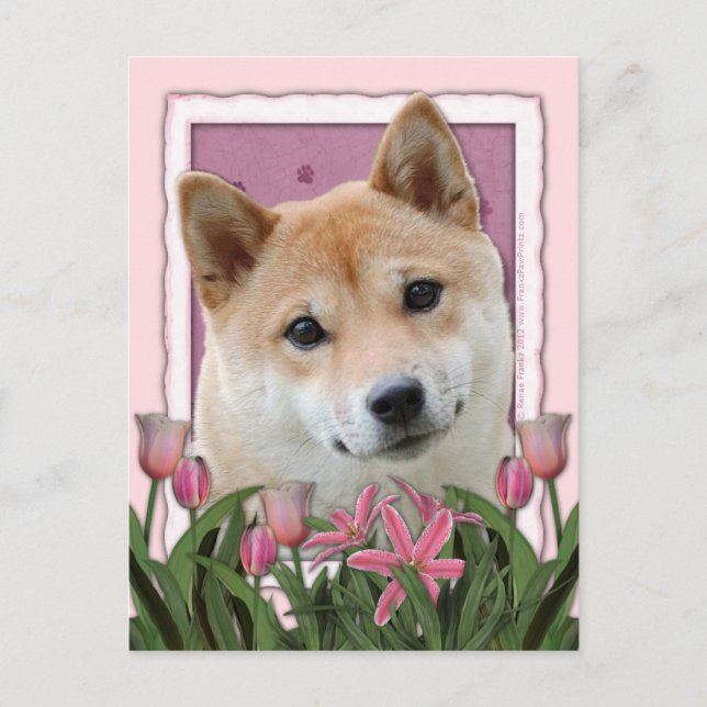Postal Día de la Madre - Tulipanes rosados - Shiba Inu (Anverso)