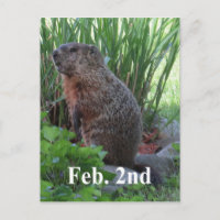 Día de la Marmota