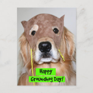Postal Día de la Marmota de Golden Retriever