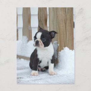 Postal Día de la nieve