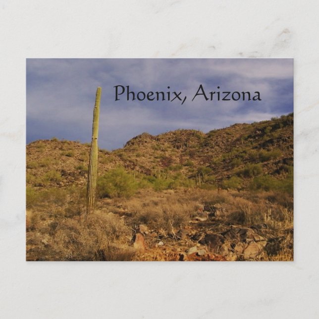 Postal Día de la tormenta en Phoenix (Anverso)