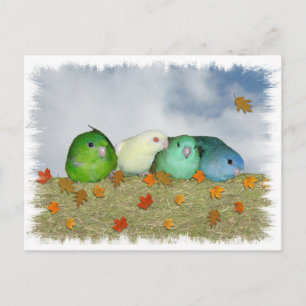 Postal Día de otoño