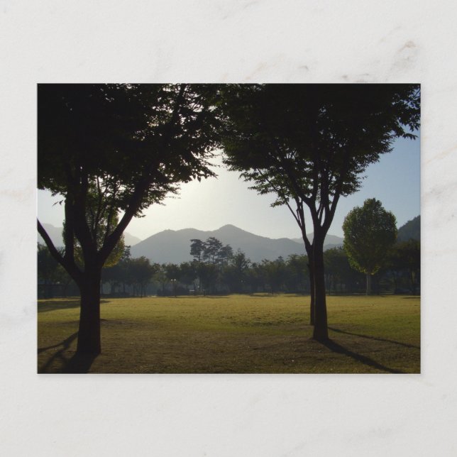 Postal Día de paz (Anverso)