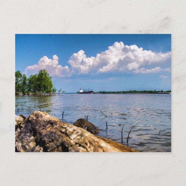 Postal Día de primavera en el río Misisipi (Anverso)
