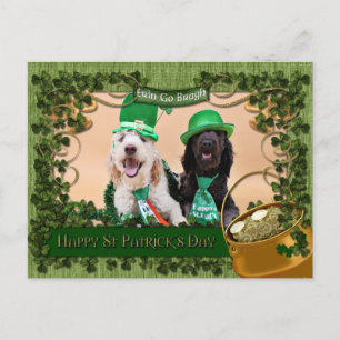 Postal Día de San Gatos - Golden Doodles - Sadie e Izzie