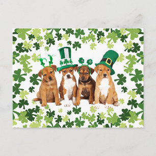 Postal Día de San Patricio