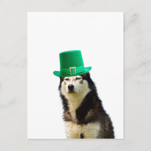 Postal Día de San Patricio