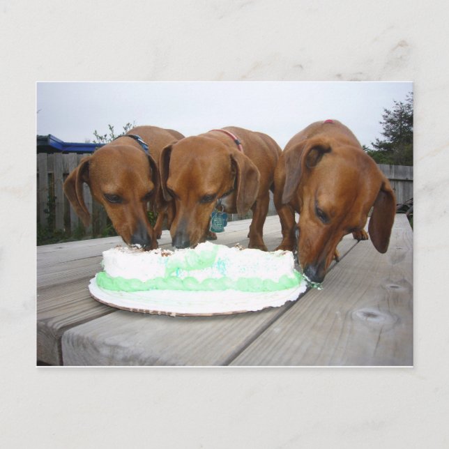 Postal Día de San Pattys (Anverso)