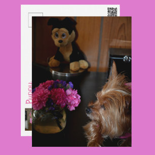 Postal Día de San Valentín Amor de Cachorro Yorkie Fotogr