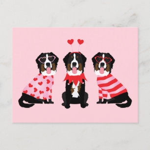 Postal Día de San Valentín Bernese Mountain Dogs