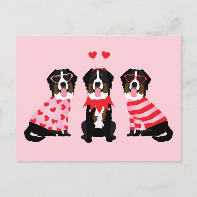 Postal Día de San Valentín Bernese Mountain Dogs (Anverso)