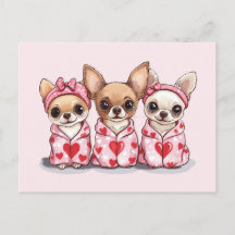 Día de San Valentín Chihuahua Dogs