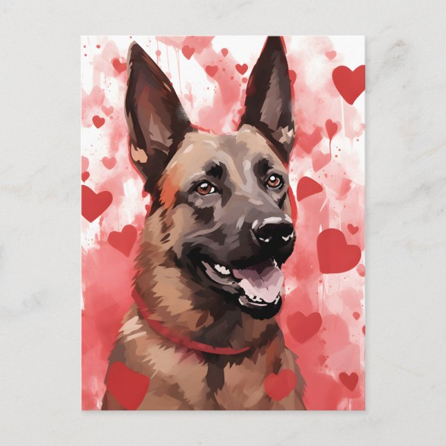 Postal Día de San Valentín del Malinois Belga (Anverso)