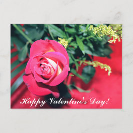 POSTAL DÍA DE SAN VALENTÍN ROSA ROSA ROSA ROSA ROSA Y ROS