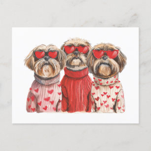 Postal Día de San Valentín Shih Tzu Dogs