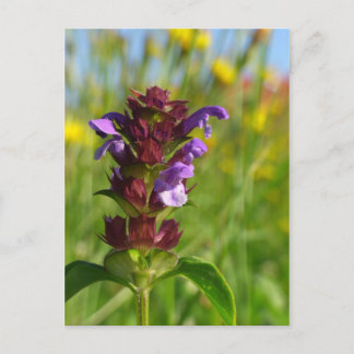 Postal Día de sol - flor de lila