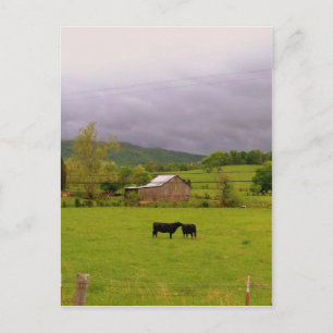 Postal Día de tormenta