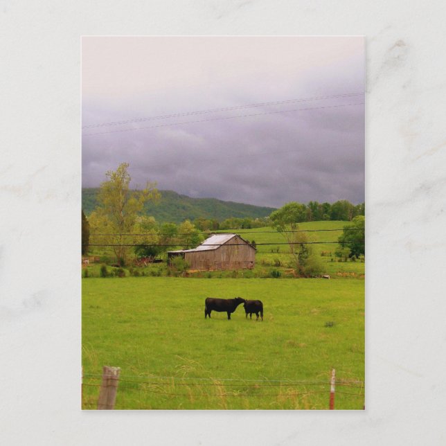 Postal Día de tormenta (Anverso)