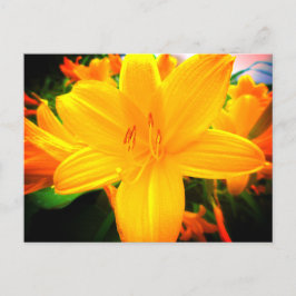 Postal Día del Naranja Amarillo Lily Flores Jardín solead