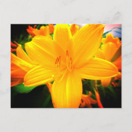Postal Día del Naranja Amarillo Lily Flores Jardín solead