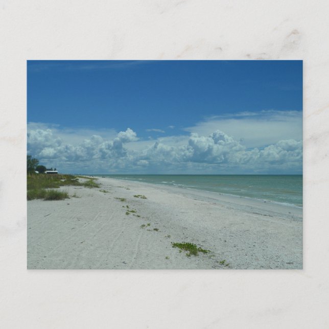 Postal Día En Una Playa Tropical (Anverso)