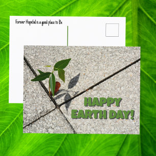 Postal Día Feliz del Árbol Plántula Nuevo Crecimiento