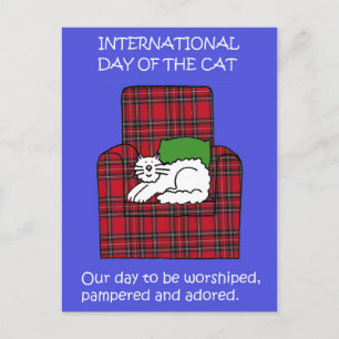 Postal Día Internacional del Gato 8 de Agosto Personaliza