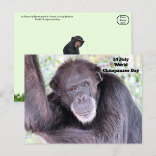 Postal Día Mundial del Chimpancé - 14 de julio