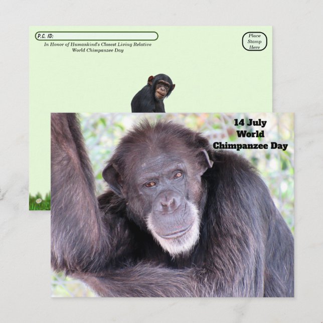 Postal Día Mundial del Chimpancé en la Posposición - 14 d (Anverso / Reverso)