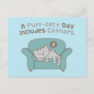 Postal Día perfecto con siestas de gato humor con juego d