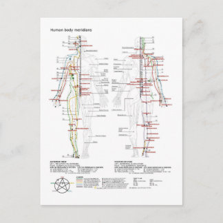 Postal  Diagram Schematic Chinese Meridians Human Body 