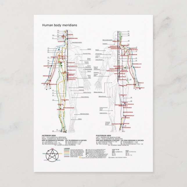 Postal  Diagram Schematic Chinese Meridians Human Body  (Anverso)