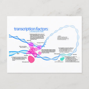 Postal Diagrama de factores de transcripción de genes de 