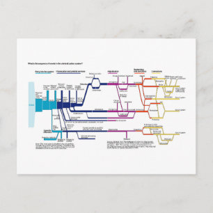 Postal Diagrama de flujo del proceso del sistema de justi