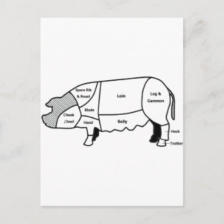 Postal Diagrama de porcino