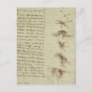 Postal Diagramas científicos