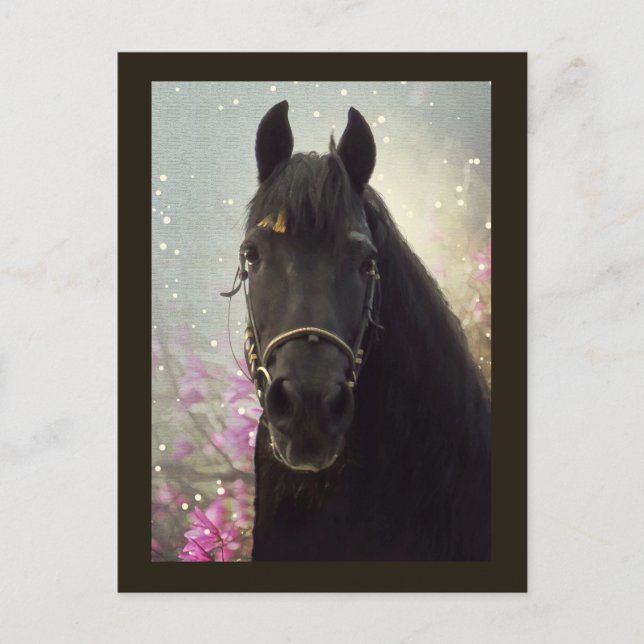 Postal DIAMONIO Friesiano - Postcard (Anverso)